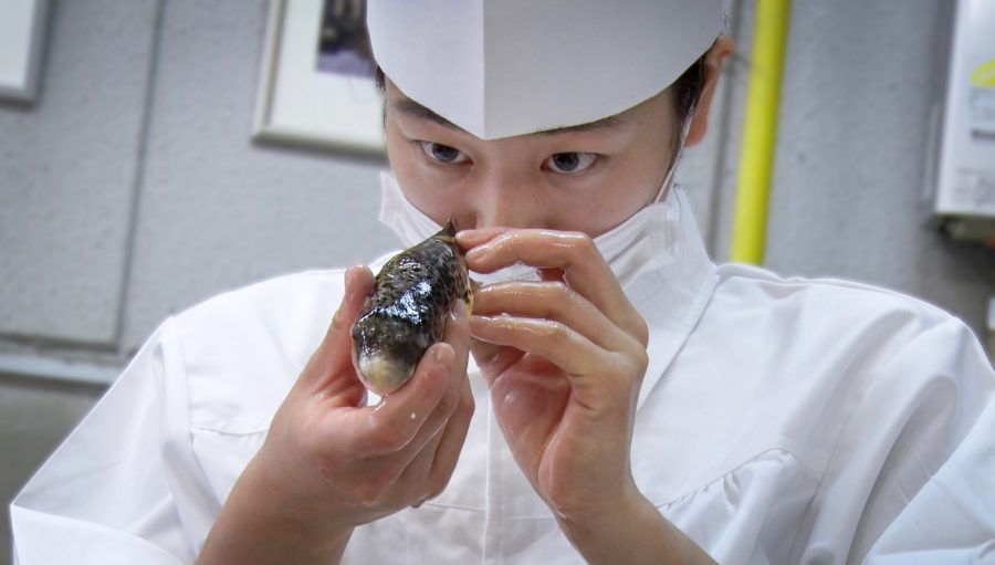GUN FISHパブ用写真01